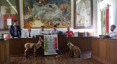 I RELATORI ALLA CONFERENZA STAMPA